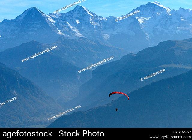 Paraglider on the Niederhorn (1963m) with view of the Swiss Alps with Eiger, Mönch and Jungfrau, Emmental Alps, Bernese Oberland, Switzerland, Europe