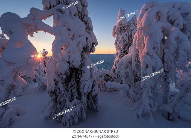 winter landscape, Lapland, Sweden