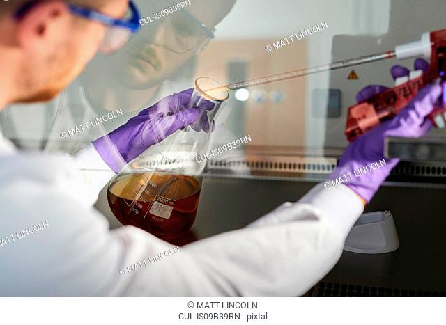 Scientist in laboratory using electronic pipette in conical flask