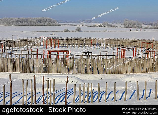 31 January 2021, Saxony-Anhalt, Pömmelte: Winter weather with hoarfrost prevails at the Pömmelte ring sanctuary. The prehistoric cult site is also called the...