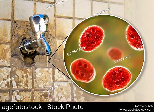 Safety of drinking water concept, 3D illustration showing cysts of Giardia intestinalis protozoan, the causative agent of giardiasis and diarrhea