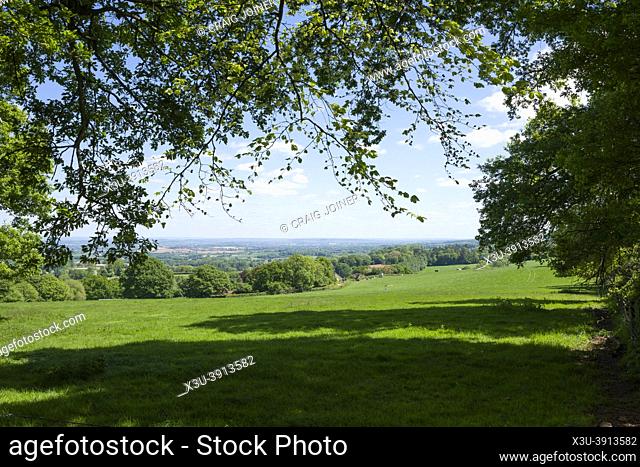 The view from Rectory Wood in the Quantock Hills Area of Outstanding Natural Beauty in springtime near Over Stowey, Somerset, England