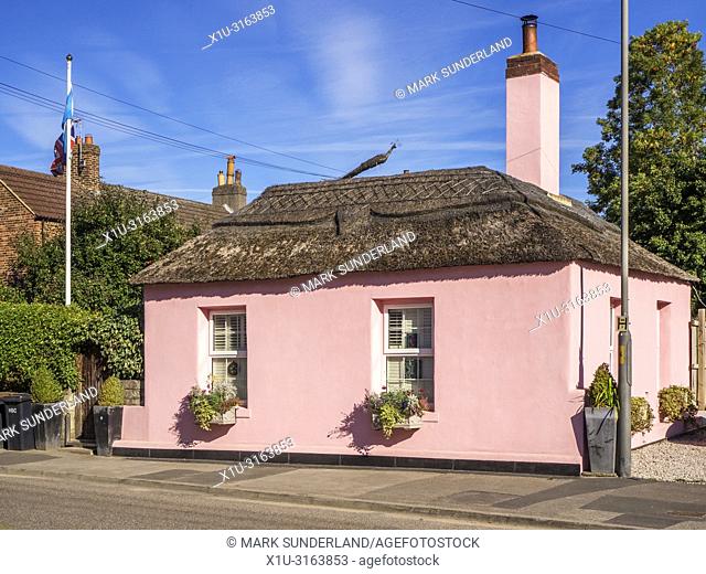 Pink painted cottage with a thatched roof at Boroughbridge North Yorkshire England