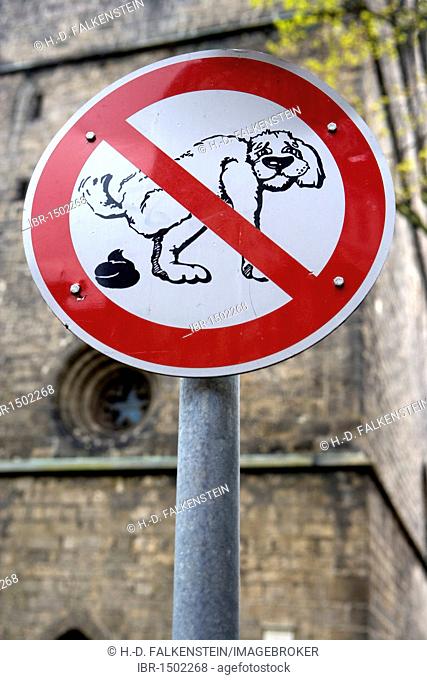 Prohibition sign, no dog waste, Quedlinburg, Saxony-Anhalt, Germany, Europe
