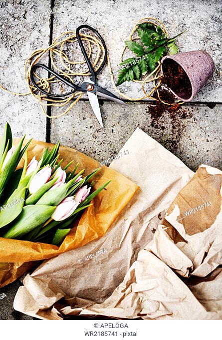 Directly above shot of tulip bouquet with scissors and pot on concrete floor