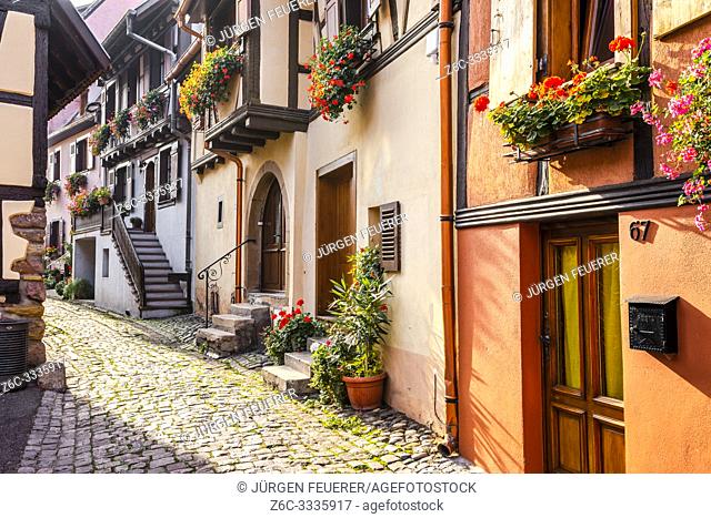 cobblestone lane in medieval village Eguisheim, Alsace, France, houses behind the town wall