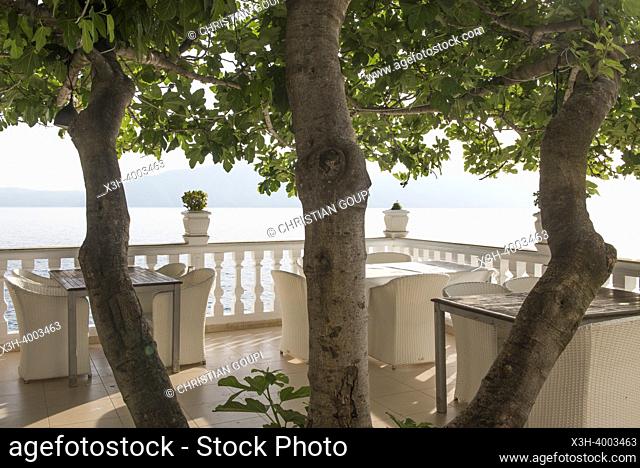 Terrace facing the sea, shaded by fig trees, Liro Hotel, Vlore, seaside resort on the Adriatic Sea, Albania, Southeastern Europe