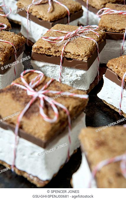 Graham Cracker Chocolate S'mores Tied with Twine