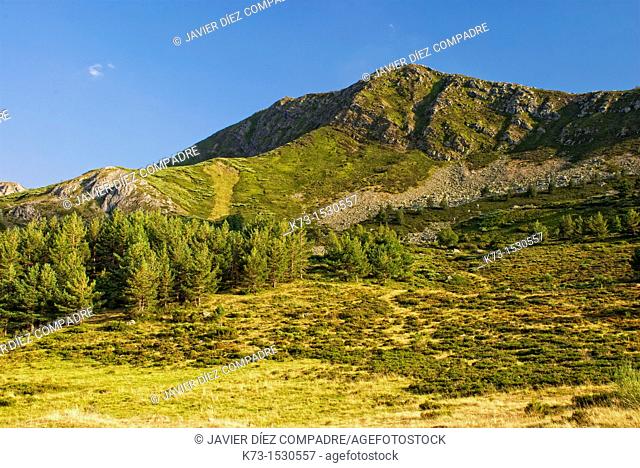 Señales Mountain Pass. Picos de Europa Regional Park. Maraña. Leon Province. Castilla y Leon. Spain