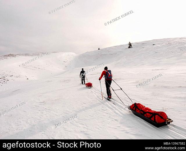 Two skiers on a ski tour with pulka material sledges through the nature reserve Réserve naturelle des Hauts Plateaux du Vercors, ascent at Col du Rousset