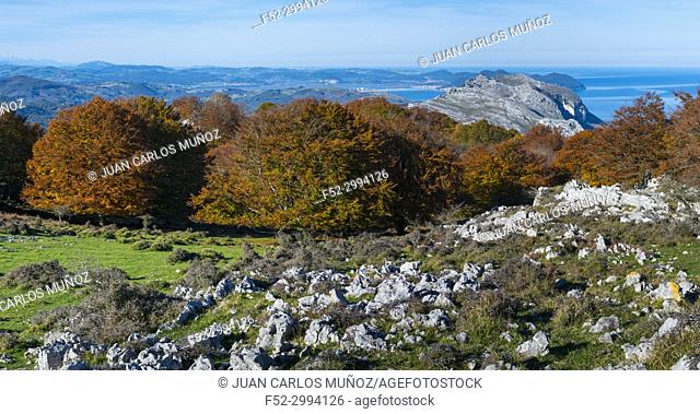 View of Mount Candina from Mount Cerredo, Beech forest in autumn at Cerredo Mountain, Cantabrian Sea, MONTAÑA ORIENTAL COSTERA MOC, Castro Urdiales, Cantabria
