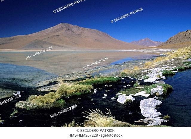 Bolivia, Potosi Department, Sur Lipez Province, hotsprings in the foreground and Laguna salada