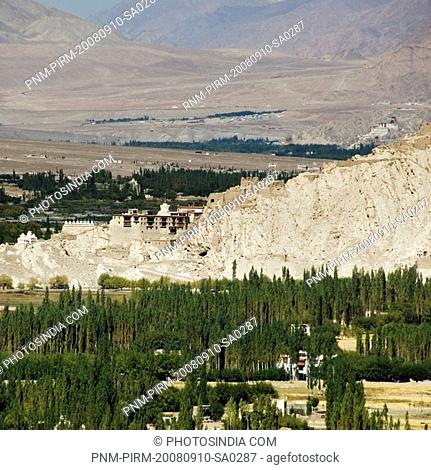 Trees in front of a palace, Shey Palace, Shey, Ladakh, Jammu and Kashmir, India