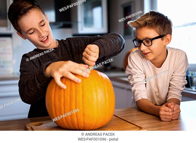 Two boys preparing a big pumpkin for Halloween lantern