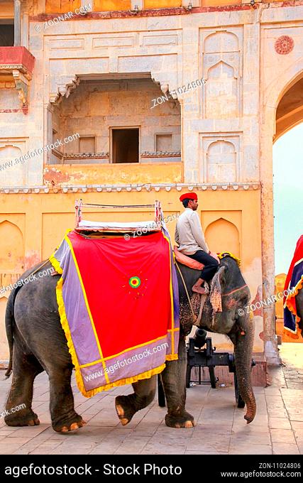 Decorated elephant walking in Jaleb Chowk (main courtyard) in Amber Fort, Rajasthan, India. Elephant rides are popular tourist attraction in Amber Fort