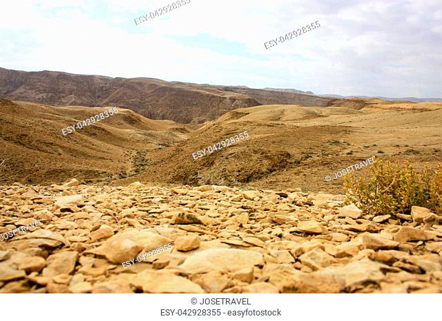 Landscape of the Negev desert in Israel