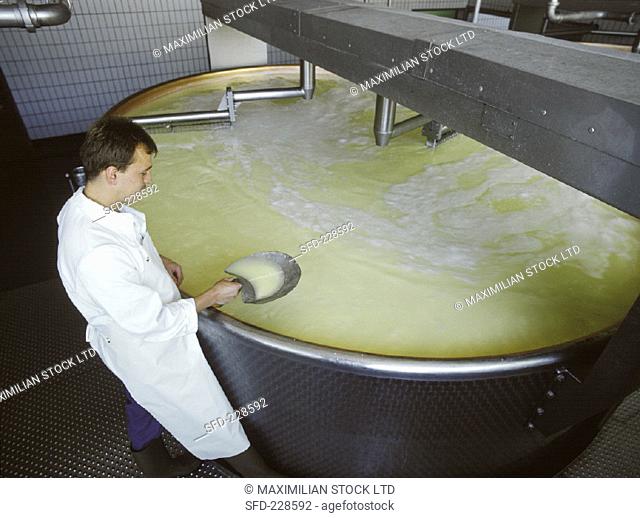 Sample being taken from vat of renneted milk (cheese making, 1)