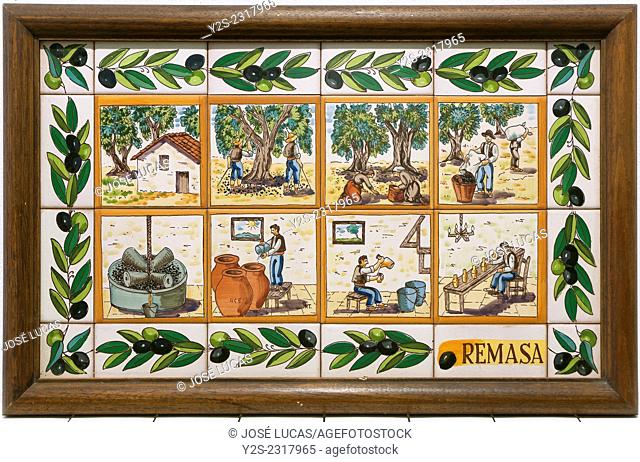 Tile about the elaboration of the olive oil, Hacienda La Laguna, Puente del Obispo-Baeza, Jaen province, Region of Andalusia, Spain, Europe