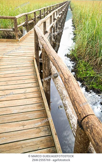 Treaties of wooden walks in the Regional Park of Lake Massaciuccoli Italy