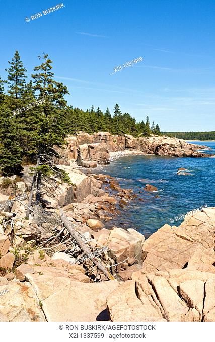 Rocky coastline at Thunder Hole in Acadia National Park near Bar Harbor, Maine