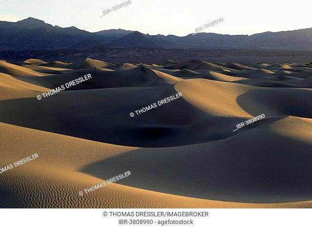 Mesquite Flat Sand Dunes in the early morning, Amargosa Range in the back, Death Valley, Death Valley National Park, California, USA