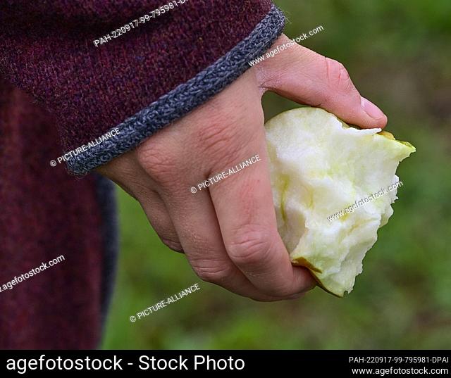 17 September 2022, Brandenburg, Müncheberg: A woman almost ate up an apple in her hand for the Orchard Festival on the grounds of the Müncheberg Orchard...