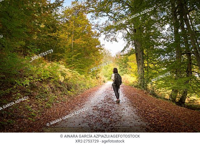 Woman backpacker walking and autumn in Irati forest