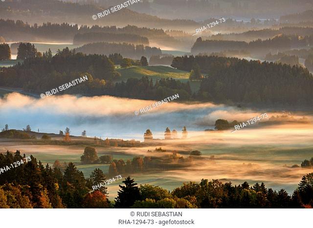Morning autumn fog above lake Hassloch in the Allgau, seen from Auerbeg hill, Bavaria, Germany, Europe