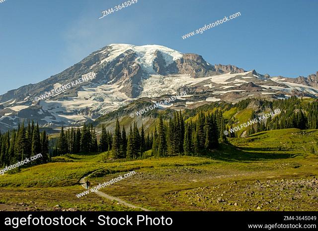 View from the Lakes Trail of Mount Rainier in Mt. Rainier National Park in Washington State, USA