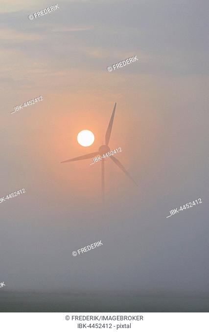Wind power plant in fog at sunrise, North Rhine-Westphalia, Germany
