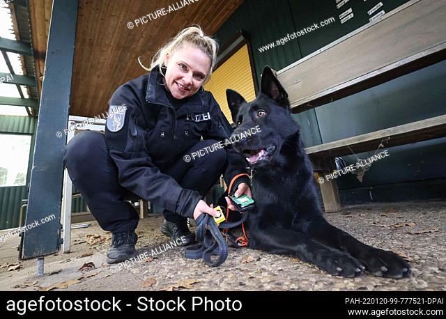 13 January 2022, Schleswig-Holstein, Wasbek: Bonny Häusler, police officer and dog handler, and her black German shepherd Joker are at a training session in the...