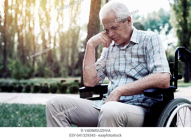 Sad old man in a wheelchair pensively sitting in summer park