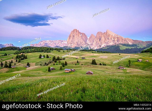 Italy, Alto Adige / South Tyrol / Südtirol, Castelrotto / Kastelruth - landscape of the Alpe di Siusi / Seiser alm with Sassolungo / Langkofel and Sassopiatto /...