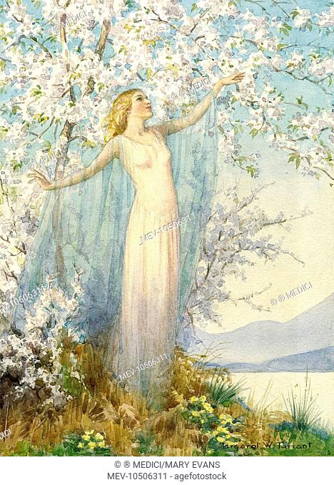 'Spring Hangs her Infant Blossoms' - tree in blossom with spring spirit