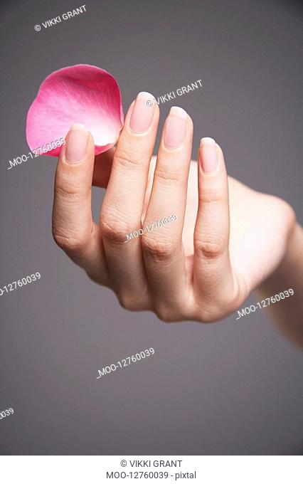 Woman holding single rose petal between finger and thumb close-up on hand