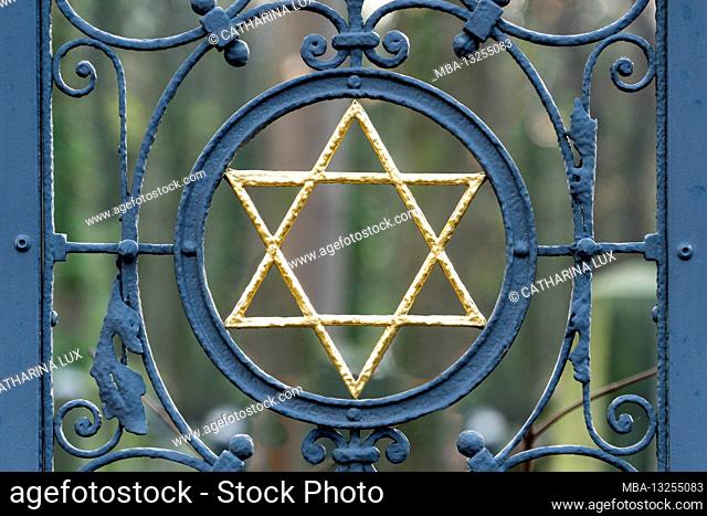 Berlin, Jewish cemetery Berlin Weissensee, field B1, raised lattice grave wall, Steinthal hereditary burial, Star of David, detail