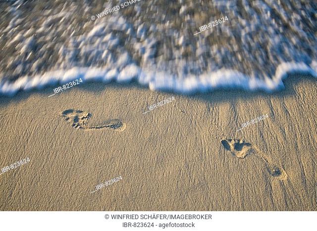 Footprints on a beach, Nosy Nato, Madagascar, Africa
