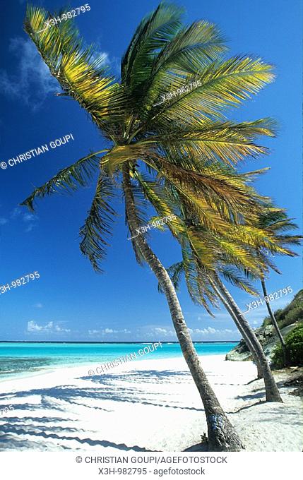 Jamesby, Tobago Cays, Grenadines islands, Saint Vincent and the Grenadines, Winward Islands, Lesser Antilles, Caribbean Sea