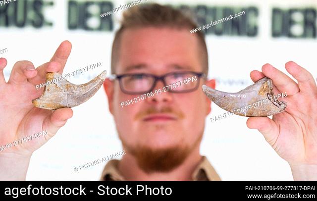 06 July 2021, Lower Saxony, Rehburg-Loccum: Taxidermist Rodney Dehm shows claws of a Plateosaurus in the Dino Park Münchehagen