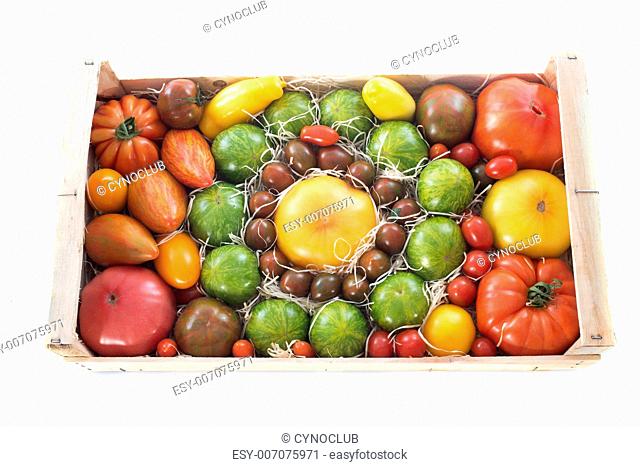 crate of tomatoes in front of white background