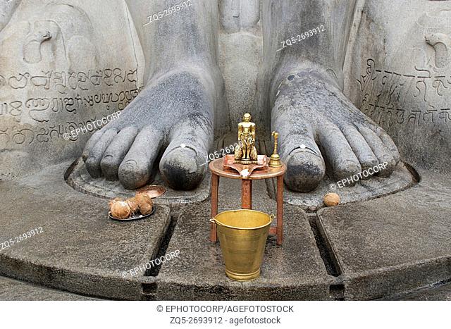 Close up of feet of the statue of Bahubali, also known as Gomateshwara, Vindhyagiri Hill, Shravanbelgola, Karnataka, India