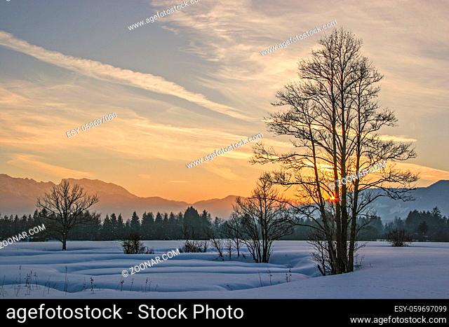 Sonnenuntergang an einem kalten Winterabend in der Gaißacher Filze bei Bad Tölz