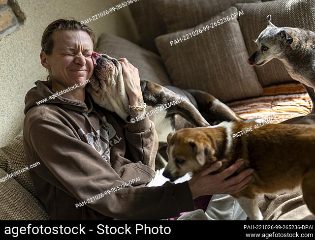 PRODUCTION - 03 October 2022, Brandenburg, Heideblick: Stephanie Badura sits on the sofa in her living room and cuddles with her foster dogs