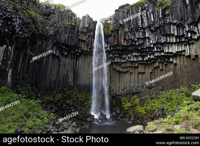 Columnar basalt with waterfall, Svartifoss, Skaftafell, high plateau, Vatnajökull, south coast, Iceland, Europe