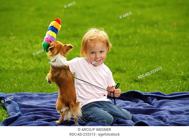 Little girl with Chihuahua