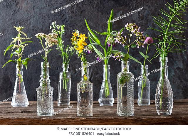 Yarrow, St. John's wort, oregano, horsetail and other wild medicinal plants in glass bottles