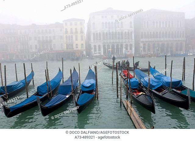 Canal Grande at Rialto bridge. Venice. Veneto. Italy