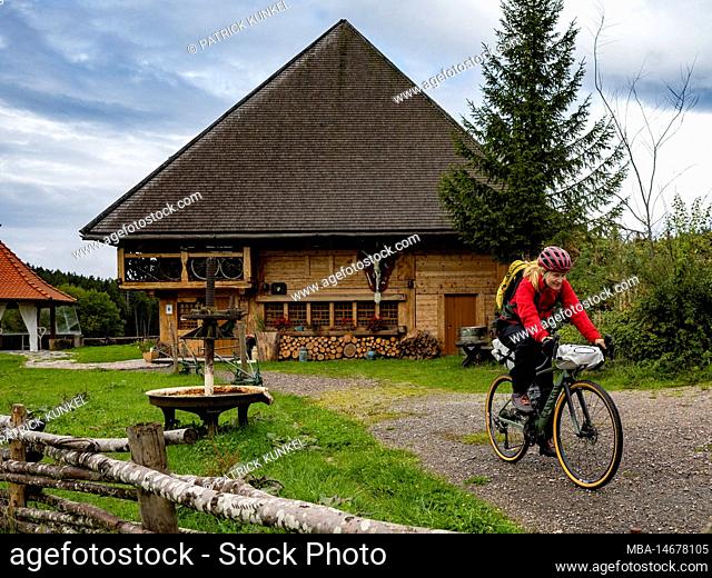 Bike tour with the Gravelbike in the Black Forest