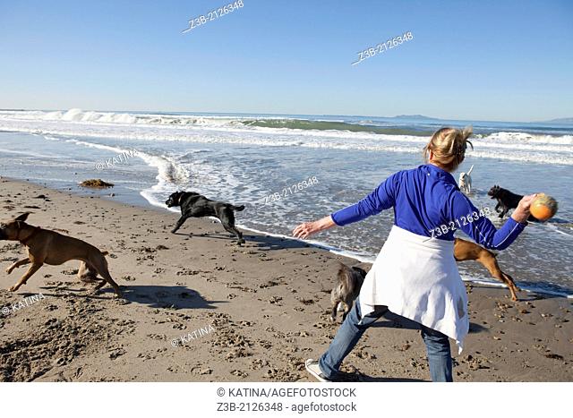 Woman aged 50+ plays ball with dogs on beach in Oxnard, California