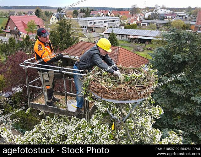 07 May 2021, Brandenburg, Trebus: From a lifting platform, Daniel Kubelt (l) from the company DMS Schälicke and Achim Krüger, a friend of the Winkler family